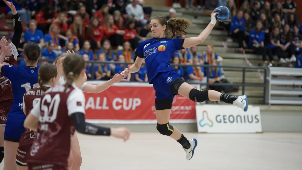 Limburg Handball Cup