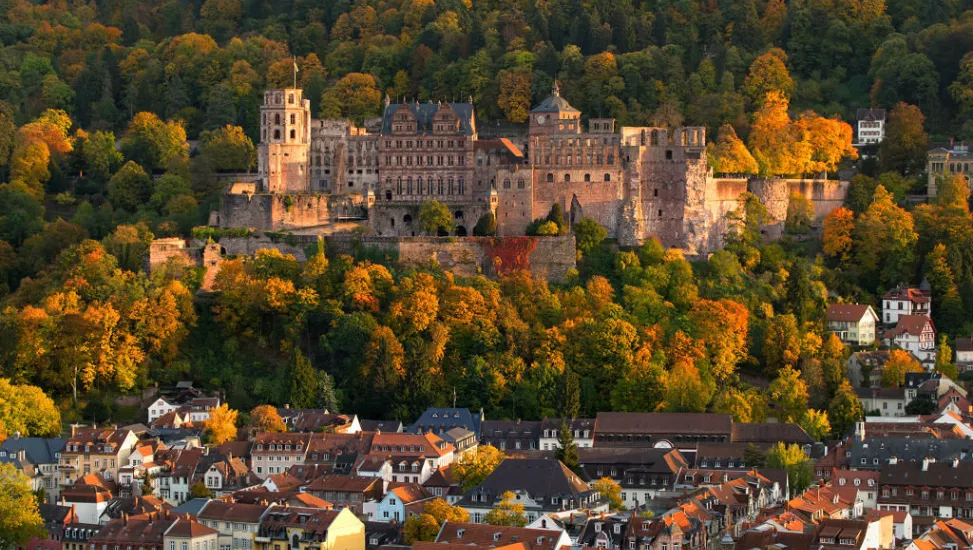 Rhein-Neckar Pokal