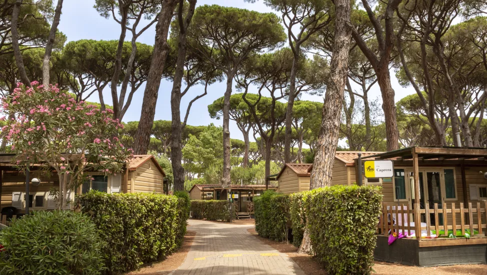 Toscana Cup