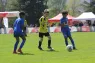 Leman Cup