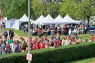 Belgium Cup