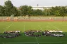 SCC Berlin Pokal